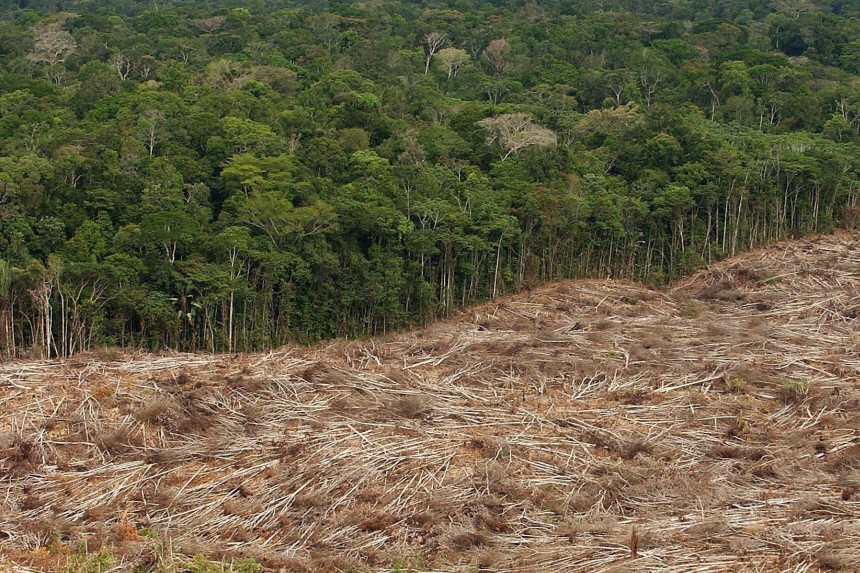 Abholzung im Amazonasgebiet