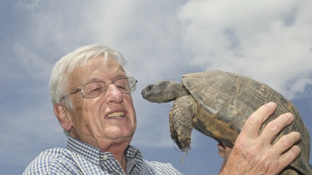 Reptilienforscher Ulrich Gruber: Ein Leben für die Schildkröten: Ulrich Gruber mag die Tiere, die seinen Garten bewachen. Aus einem Grund: "Sie sind so anpassungsfähig."