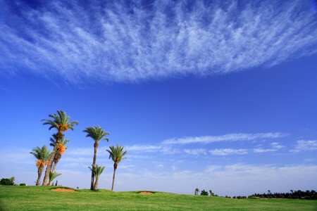 Golf in Marrakesch