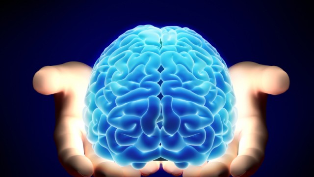 Gehirn Internet Neurowissenschaften