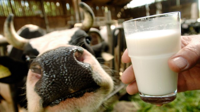 'Tag der Milch'
