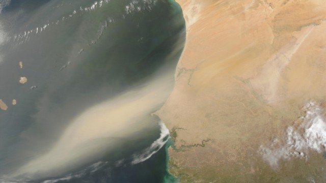 Meteorologie: Der Wind bläst Sahara-Staub über den Atlantik Richtung Westen.