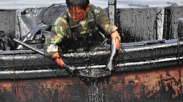 A worker scoops oil from the oil spill site near Dalian port