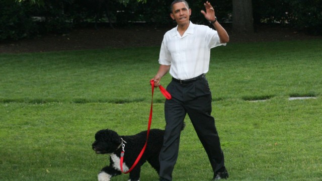US-Präsident Obama führt seinen Hund Bo an der Leine