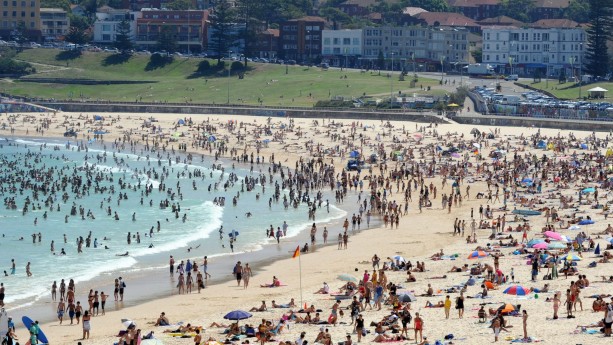 Bondy Beach - der angesagte Strand von Sydney