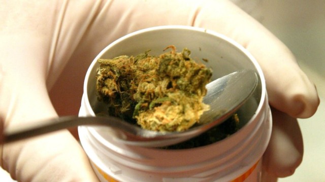 Cannabis auf Rezept in den Niederlanden
