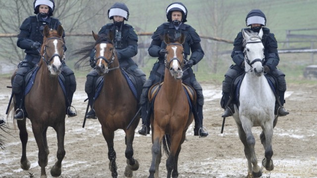 Wild gewordene Pferde: Es sollte ein romantischer Ausflug werden - dann wurden 36 Menschen verletzt. Bei einem Fackelzug im niedersächsischen Emsland sind 150 Pferde durchgegangen.