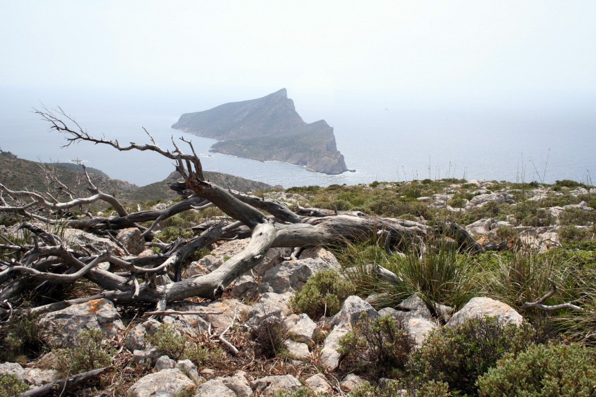 Insel der Drachen und Piraten: Mallorcas Schwester Dragonera
