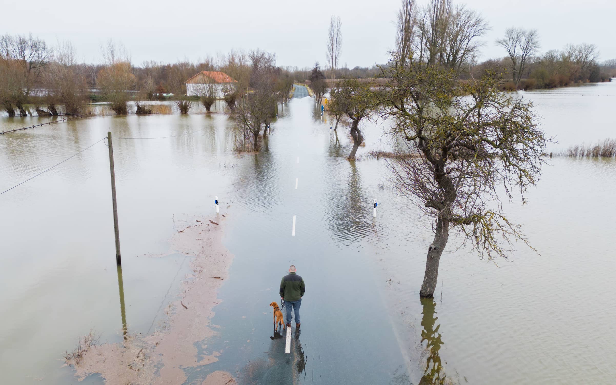 Hund an der Leine in der Leine: Südlich von Hannover zwischen den Ortschaften Harkenbleck und Wilkenburg hat der Fluss die Landstraße überflutet.