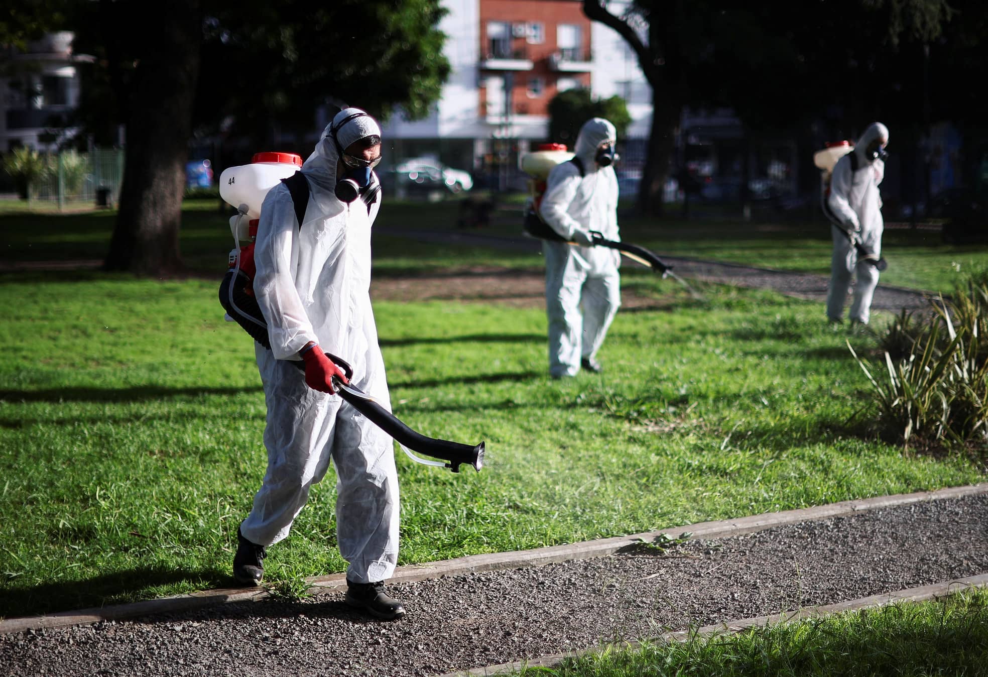 Mit Insektengift werden Moskitos in einem Park in Buenos Aires getötet, März 2024.