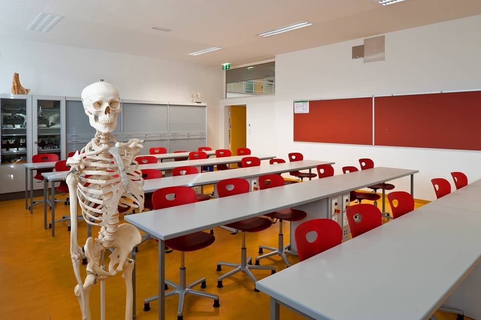 In Praxen, Hörsälen und Klassenzimmern sollen Skelette die menschliche Biologie vermitteln - fast nie sehen sie weiblich aus.