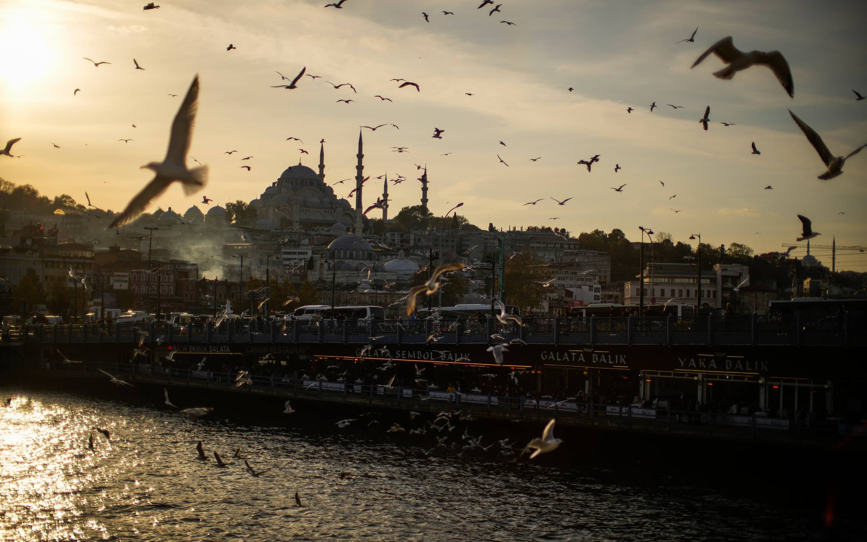 Galatabrücke und Hagia Sophia in Istanbul.